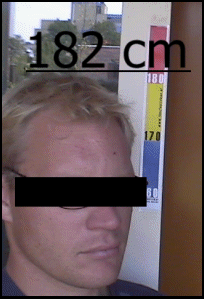 voorbeeld